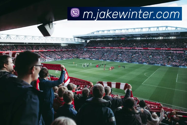 未来规划
